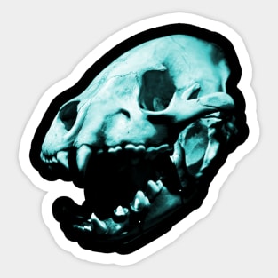 Turquoise Predator Skull Sticker